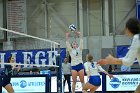 VB vs MHC  Wheaton Women's Volleyball vs Mount Holyoke College. - Photo by Keith Nordstrom : Wheaton, Volleyball, VB